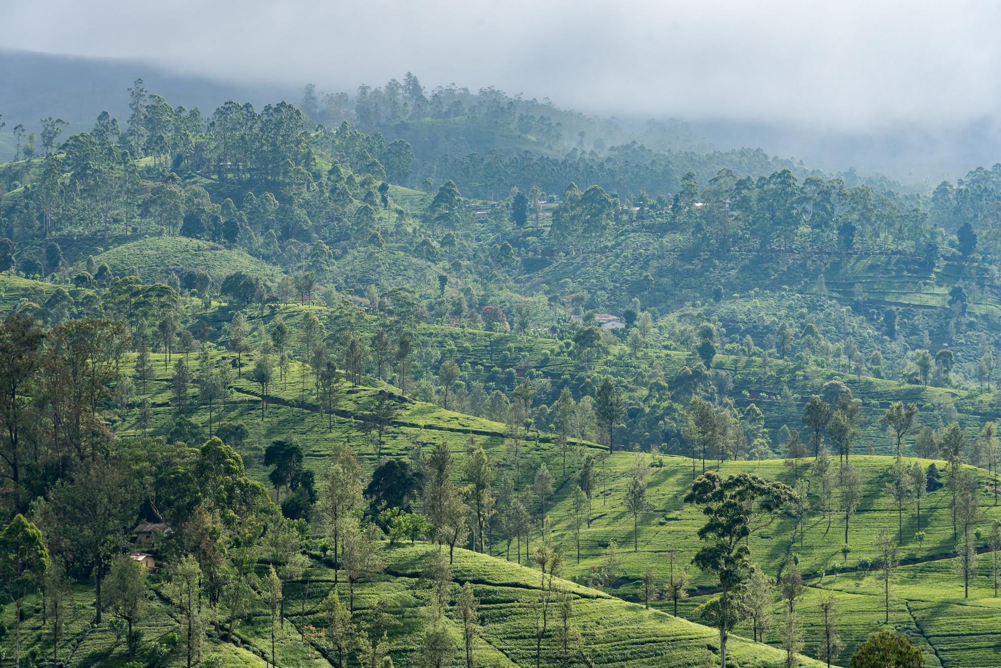 Langdale Boutique Hotel By Amaya Nuwara Eliya Eksteriør bilde