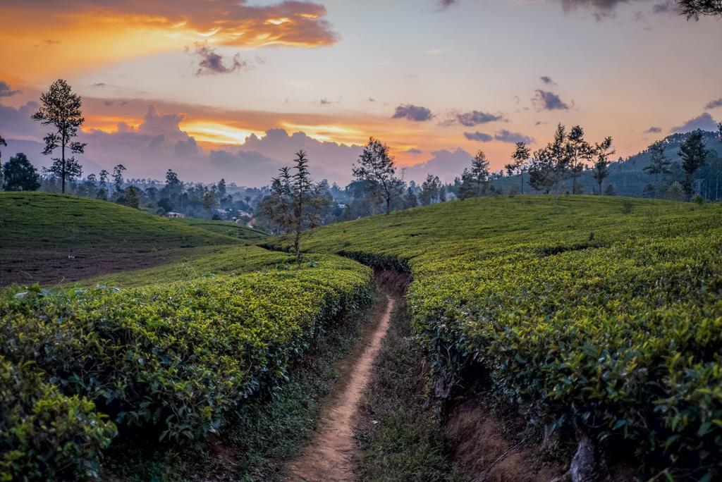 Langdale Boutique Hotel By Amaya Nuwara Eliya Eksteriør bilde